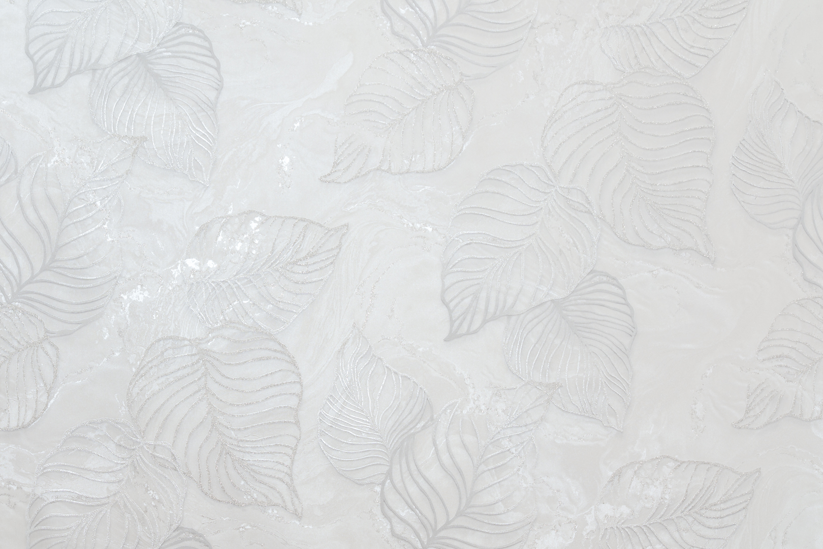 Rafy Walls 3